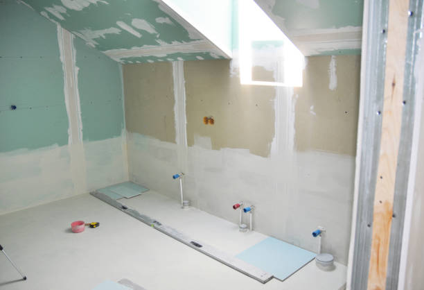 Best Mold Damage Restoration  in Tinley Park, IL