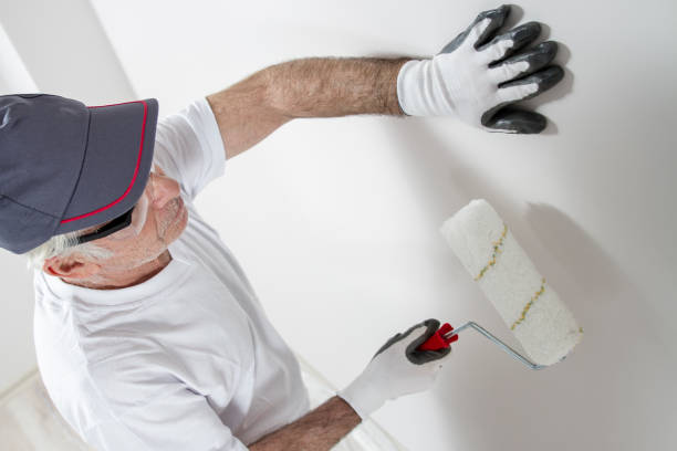 Best Comprehensive Air Testing for Mold Contaminants  in Tinley Park, IL