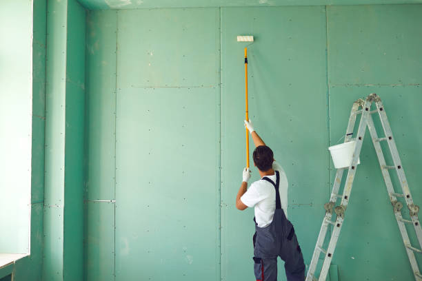 Best Basement Mold Removal  in Tinley Park, IL
