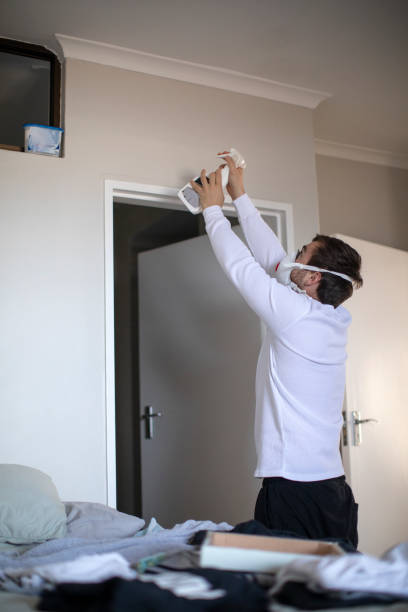 Best Post-Construction Mold Inspection  in Tinley Park, IL