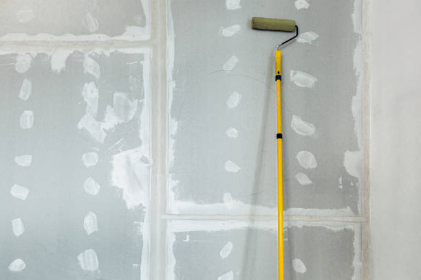 Best Dehumidification Services  in Tinley Park, IL