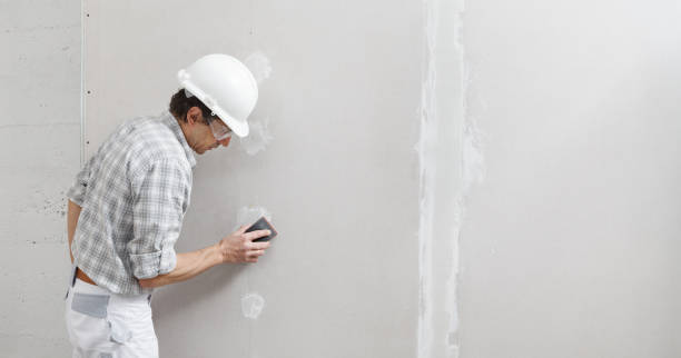 Best Real Estate Mold Inspection  in Tinley Park, IL
