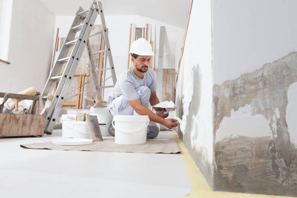 Best Flood Damage  in Tinley Park, IL