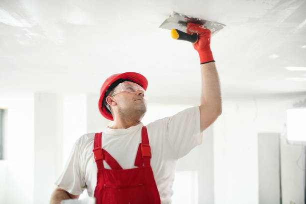 Best Commercial Mold Inspection  in Tinley Park, IL