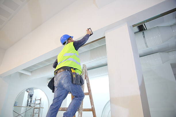 Best Industrial Mold Remediation  in Tinley Park, IL