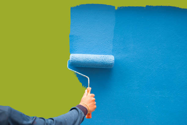 Tinley Park, IL Mold Removal Company