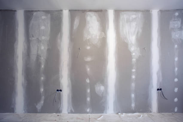 Best Residential Mold Inspection & Testing  in Tinley Park, IL